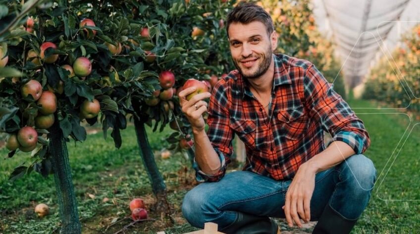Elma bahçesinde bir çiftçi, sağlıklı ve kırmızı bir elmayı gösteriyor. Bor ve Molibden çözümleri ile giderilmiş mikro besin eksiklikleri sayesinde elde edilmiş kaliteli meyve.