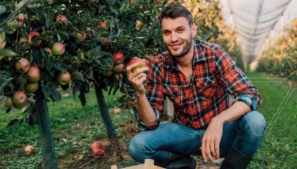 Elma bahçesinde bir çiftçi, sağlıklı ve kırmızı bir elmayı gösteriyor. Bor ve Molibden çözümleri ile giderilmiş mikro besin eksiklikleri sayesinde elde edilmiş kaliteli meyve.