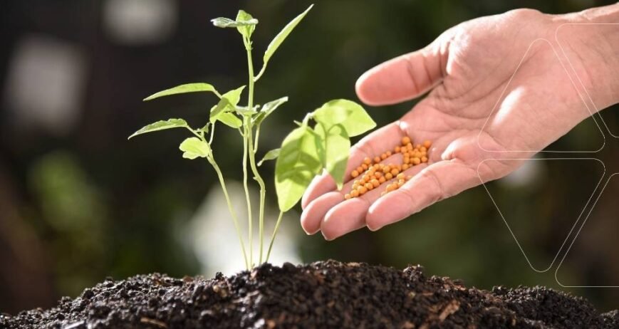 Genç bir fideye turuncu granül çinko gübresi uygulaması. Bitki gelişimini hızlandıran ve verimi artıran profesyonel çinko uygulama rehberi ve çözümleri.