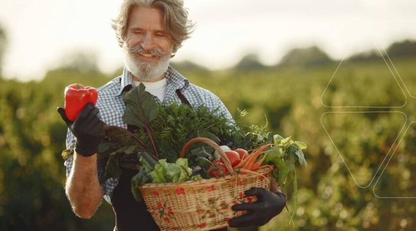 Tarlasında hasat yapan bir çiftçi, EDDHA şelatlı demir ile yetiştirdiği yüksek kaliteli kırmızı biberi inceliyor. Sepetinde verimli bir hasat görülüyor. Orto-Orto izomerinin farkıyla demir eksikliği giderilmiş sağlıklı sebzeler.