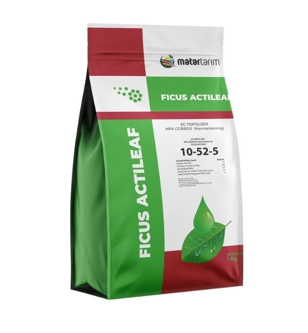 FICUS ACTILEAF 10-52-5