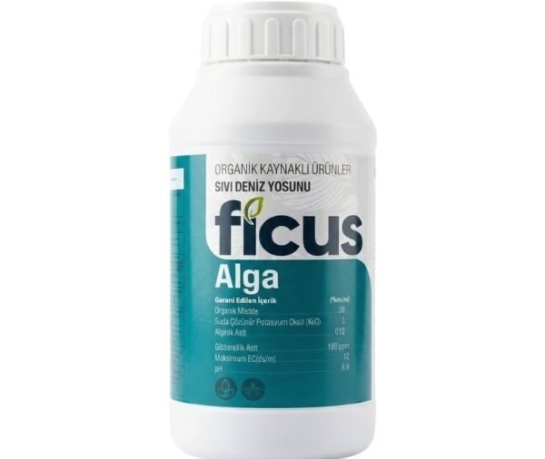 FICUS Alga