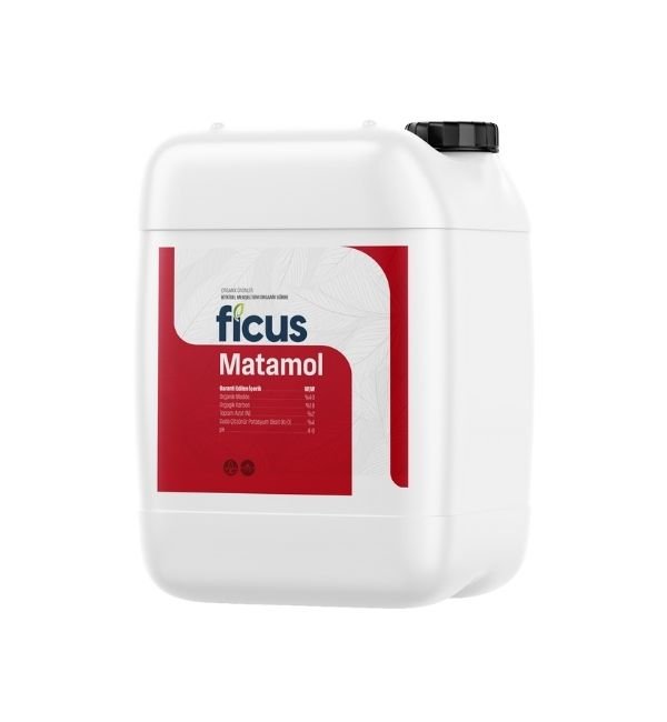 FICUS Matamol