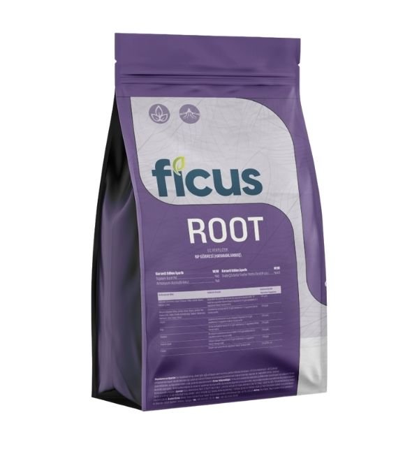 FICUS ROOT