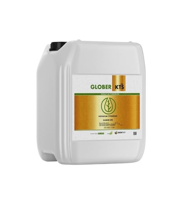 GLOBER KTS