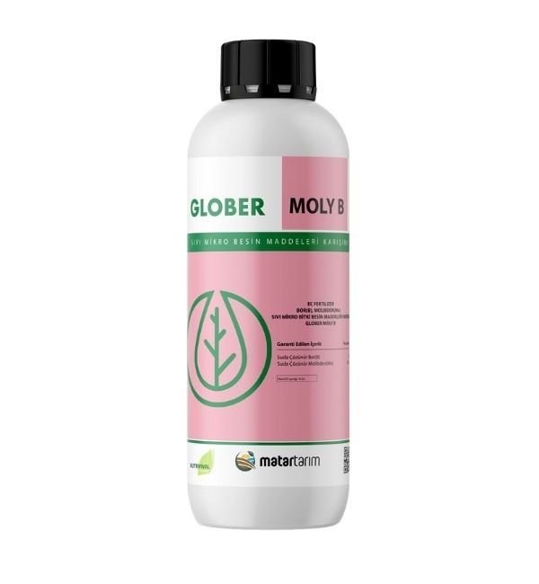 GLOBER MOLY B