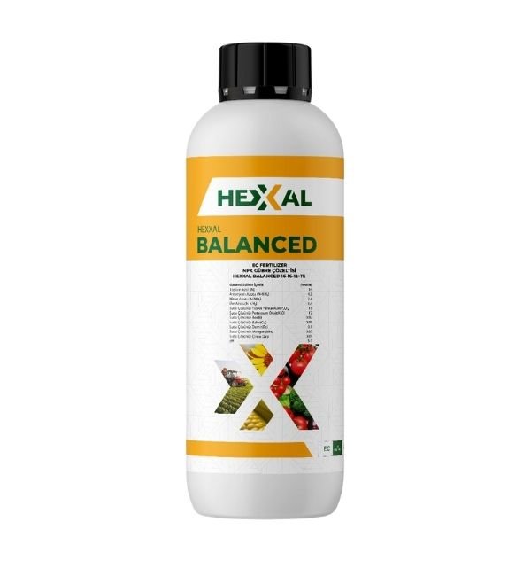 HEXXAL BALANCED