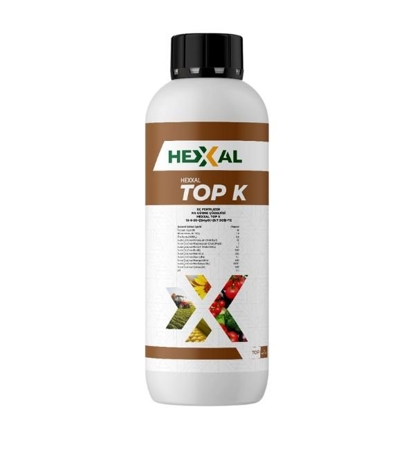 HEXXAL TOP K