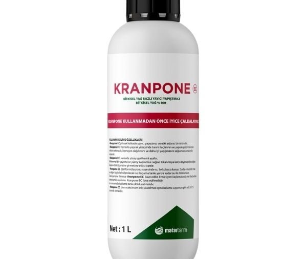 KRANPONE