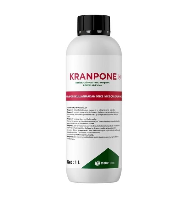 KRANPONE