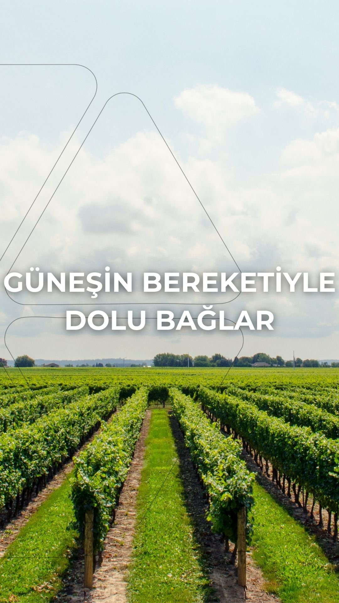 rubyagro-slayt-mobil-3