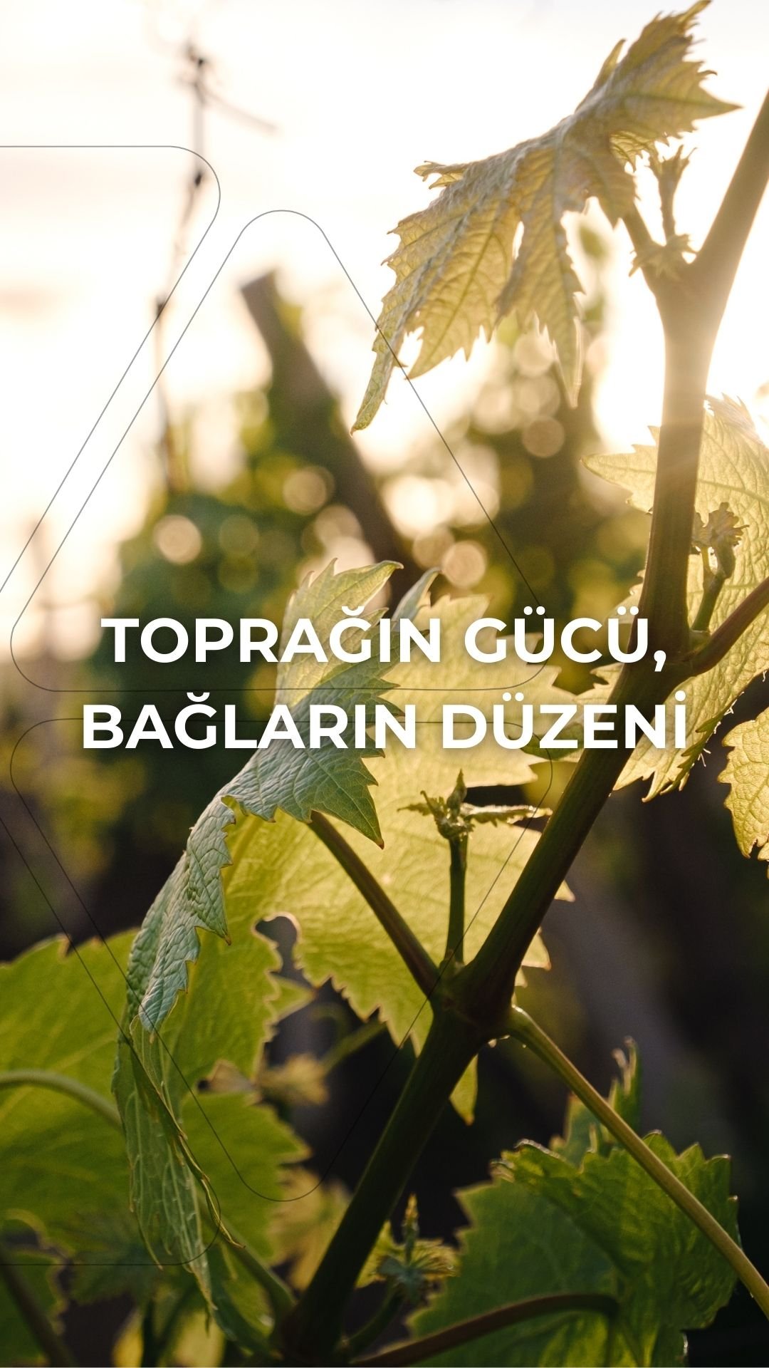 rubyagro-slayt-mobil-4